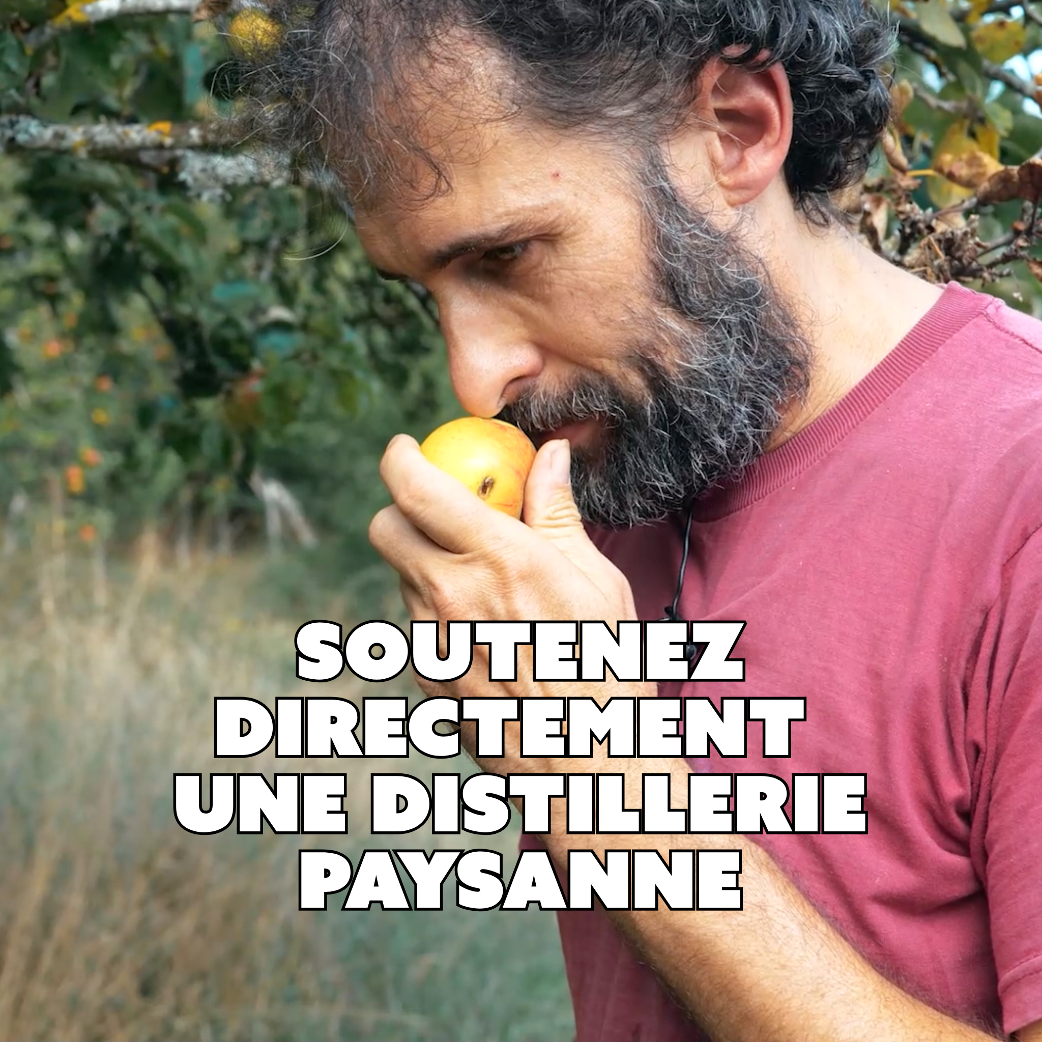 SOLEILS COUCHANTS - Eau-de-vie de Mirabelle (2020) - Damejeanne Unique 66 Bouteilles