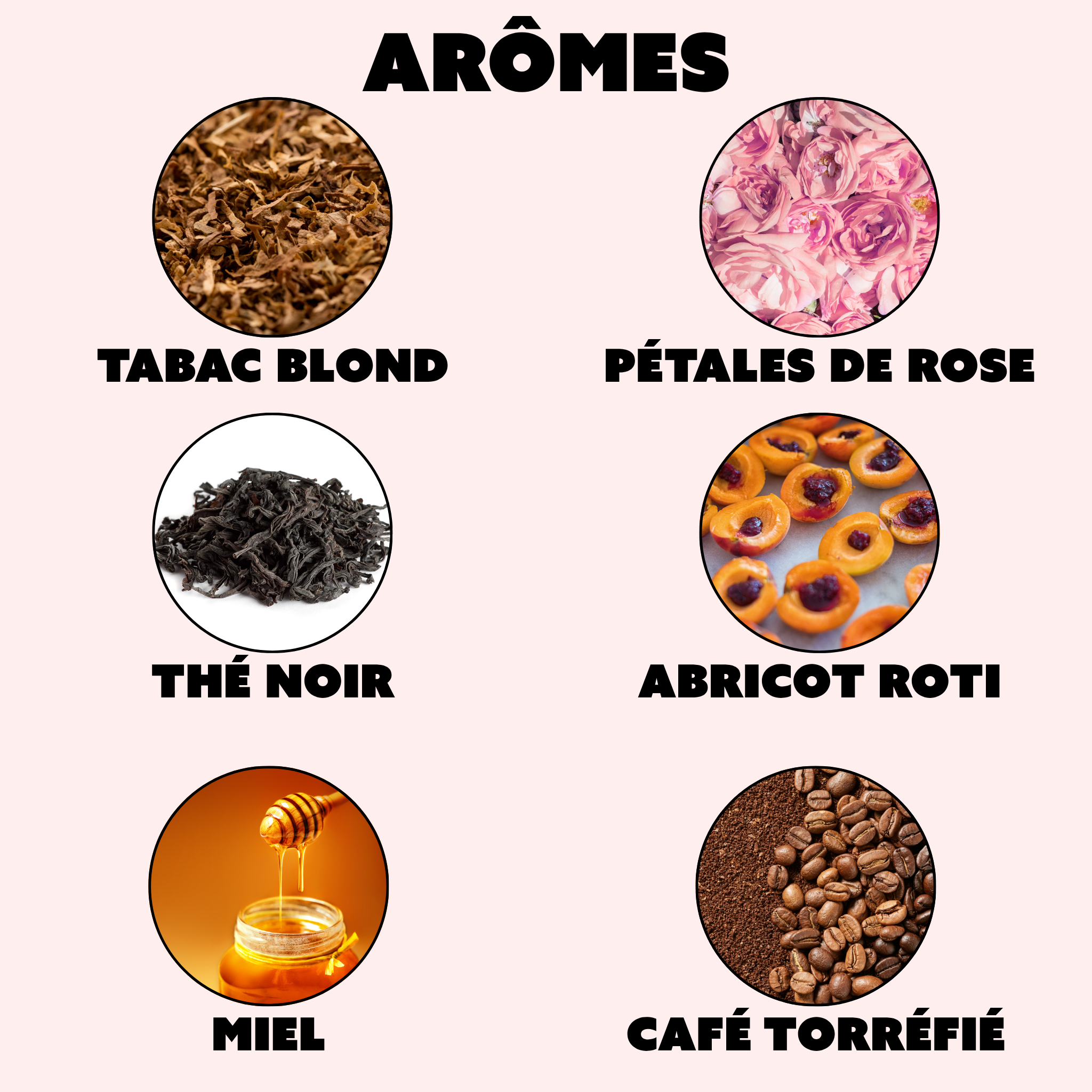 "LA VIE EST BELLE" - 2004/2025 - L'Armagnac Ultime de Maurice