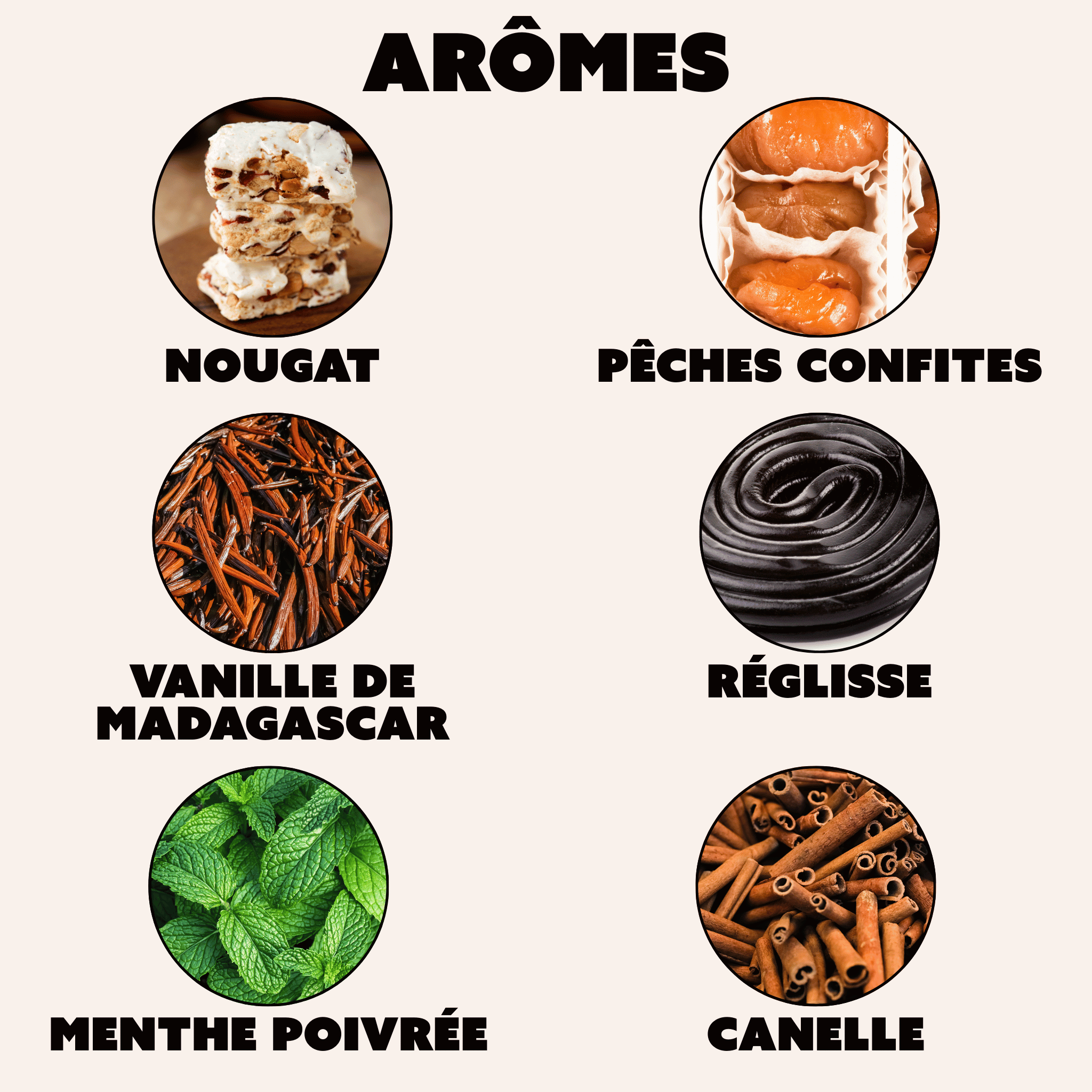 "Le Baco" - Pièce Unique D'Exception.
