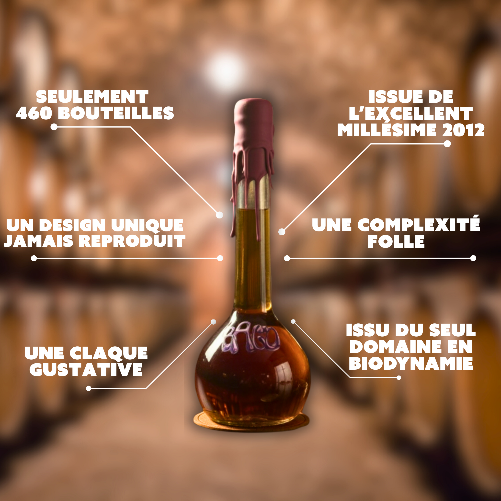 Le Baco - Pièce unique d’exception. 460 flacons pour défendre ce qu’il reste du terroir Armagnac