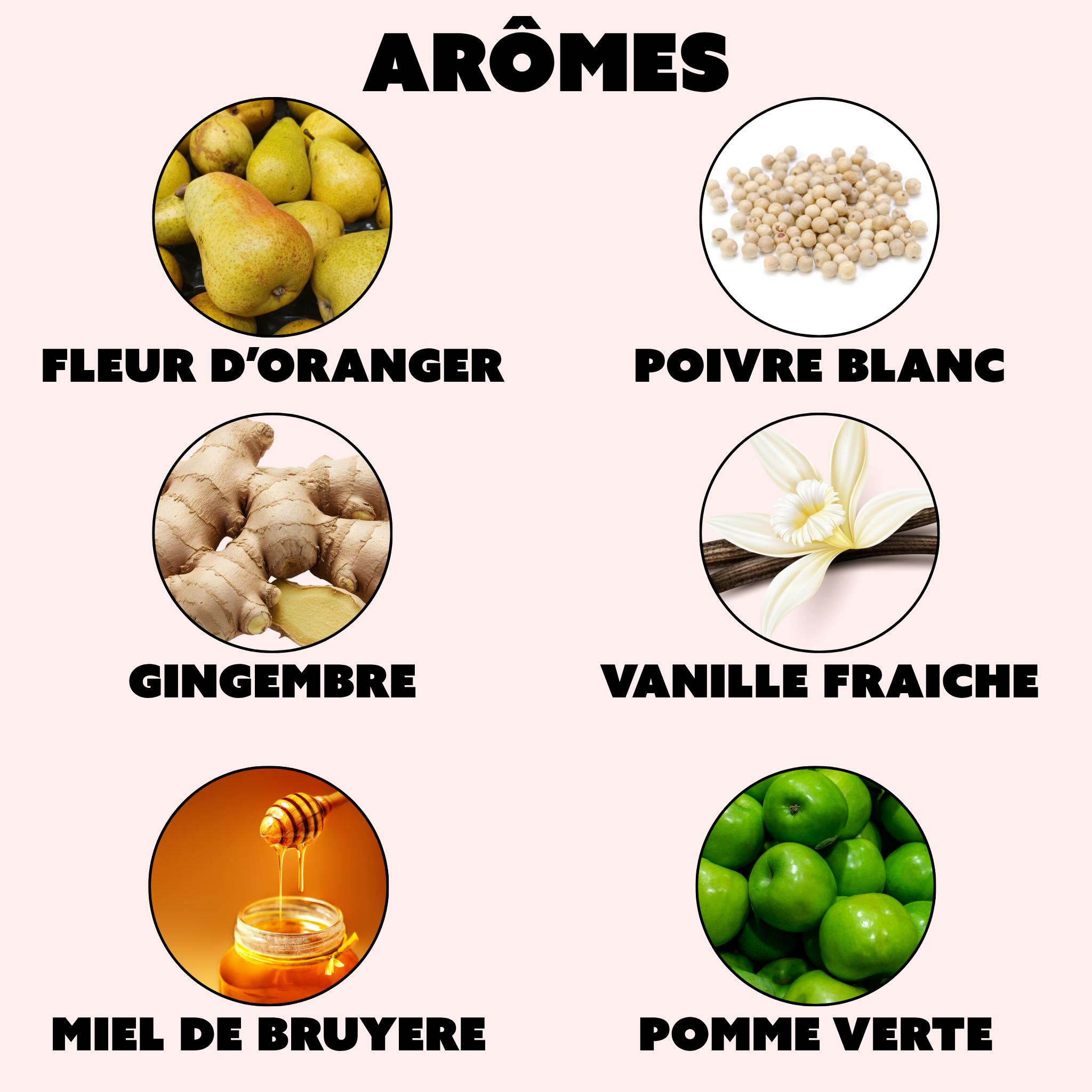 "La Folle Blanche" - Pièce Unique Millésime 2012 - Édition Limitée 711 Bouteilles