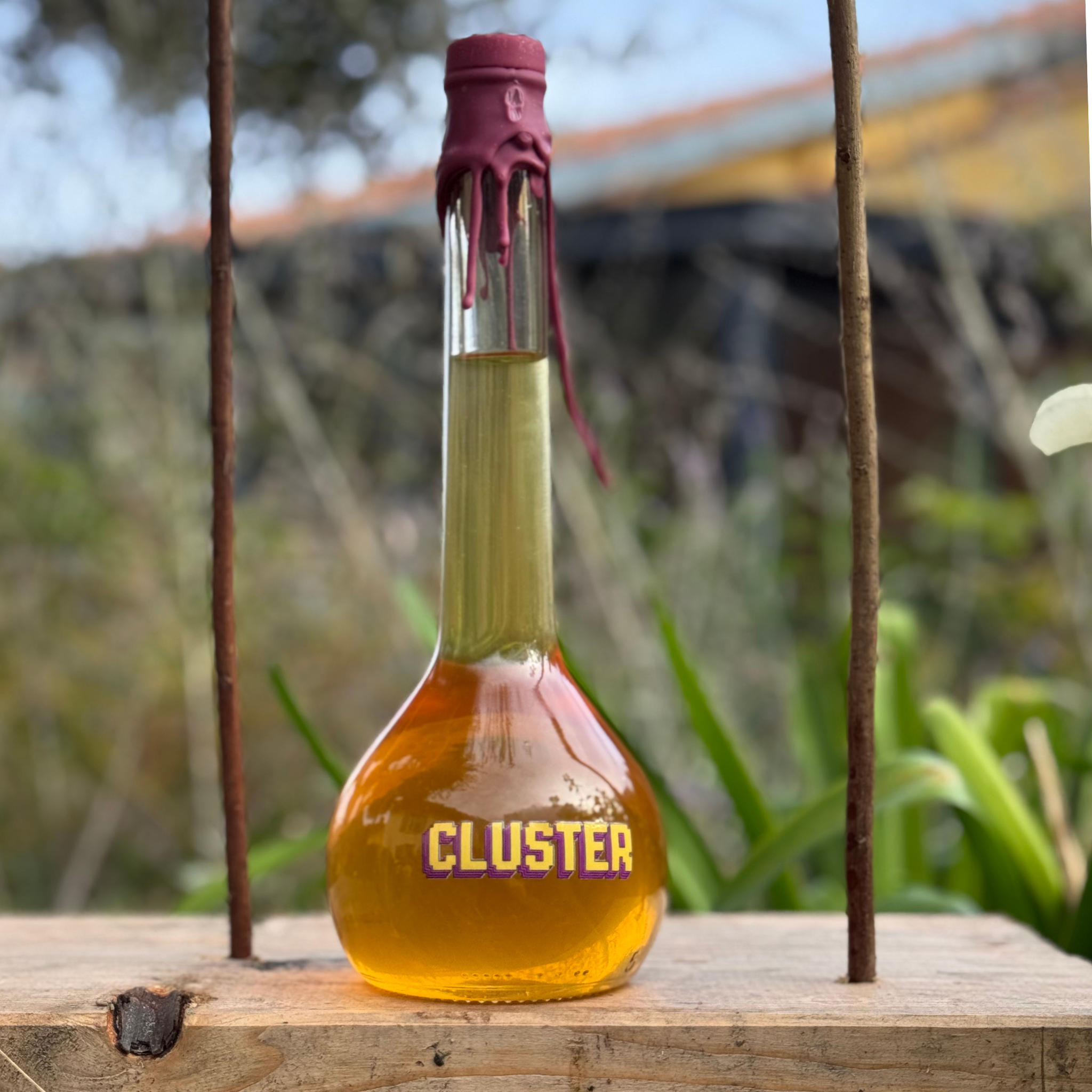 CLUSTER - 2021/2025 - 600 flacons pour défendre le terroir.