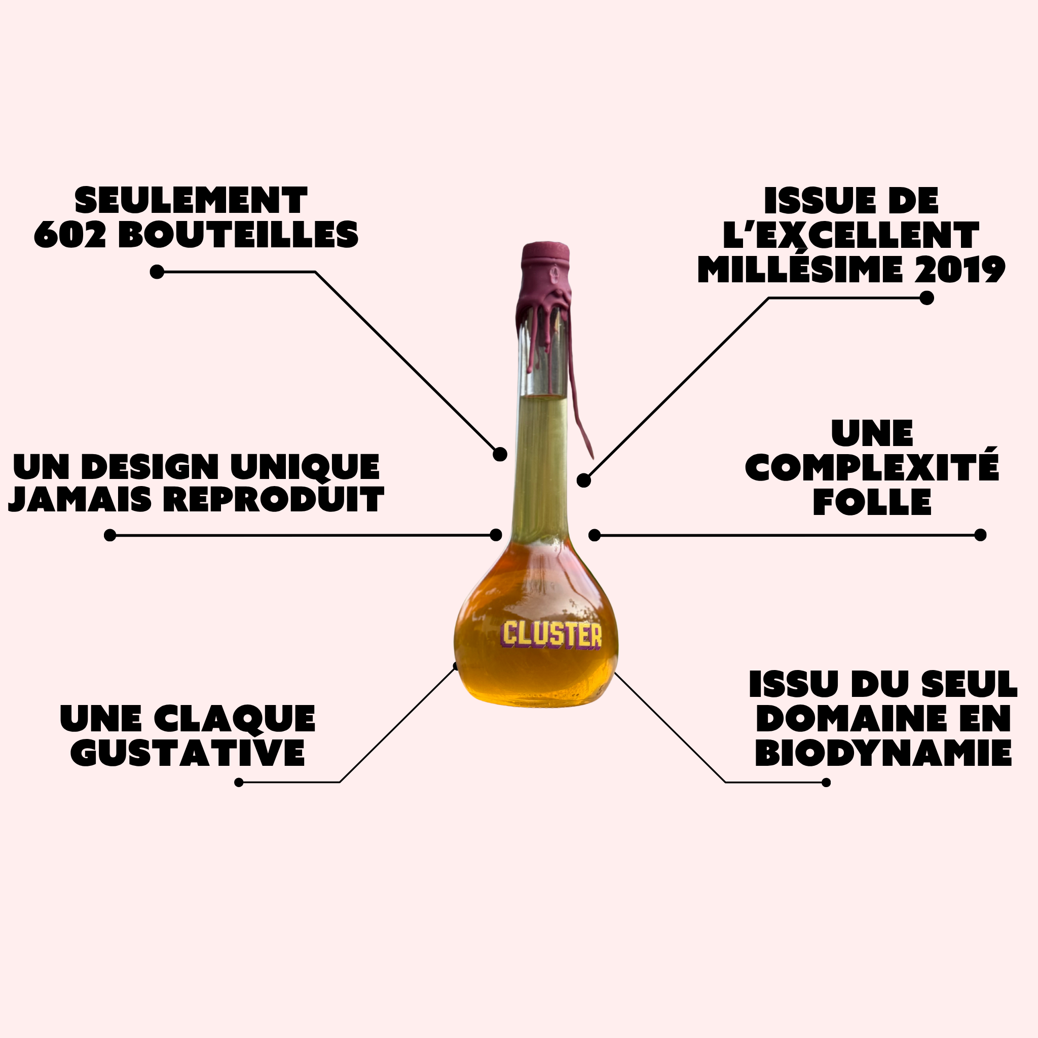 CLUSTER - 2021/2025 - 600 flacons pour défendre le terroir.