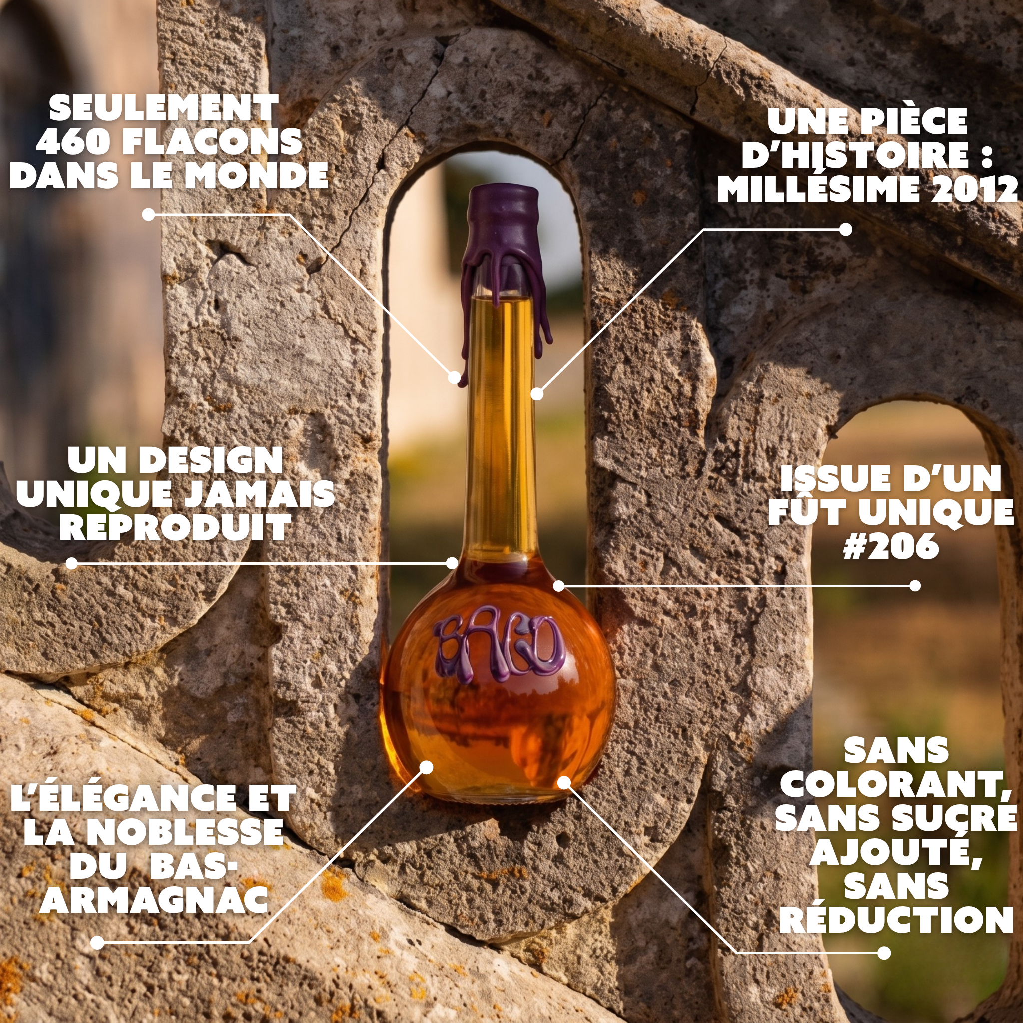Le Baco - Pièce unique d’exception. 460 flacons pour défendre ce qu’il reste du terroir Armagnac