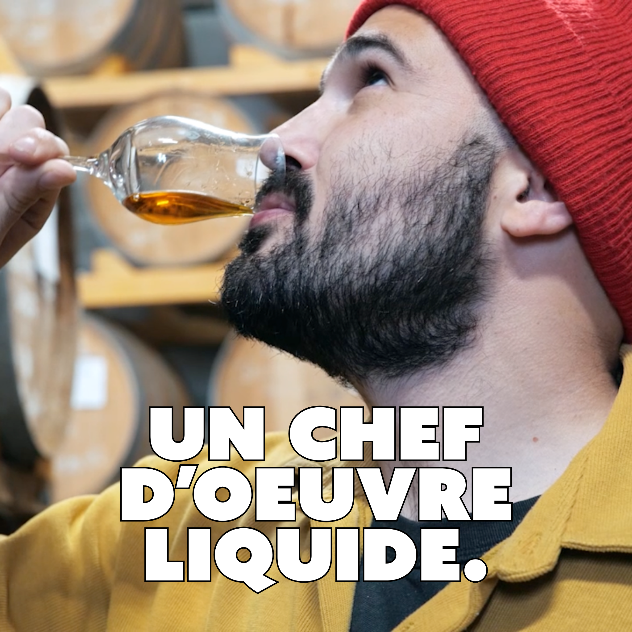 CHAOS - MILLÉSIME 1996 - LES DERNIÈRES GOUTTES D’UN DOMAINE DISPARU