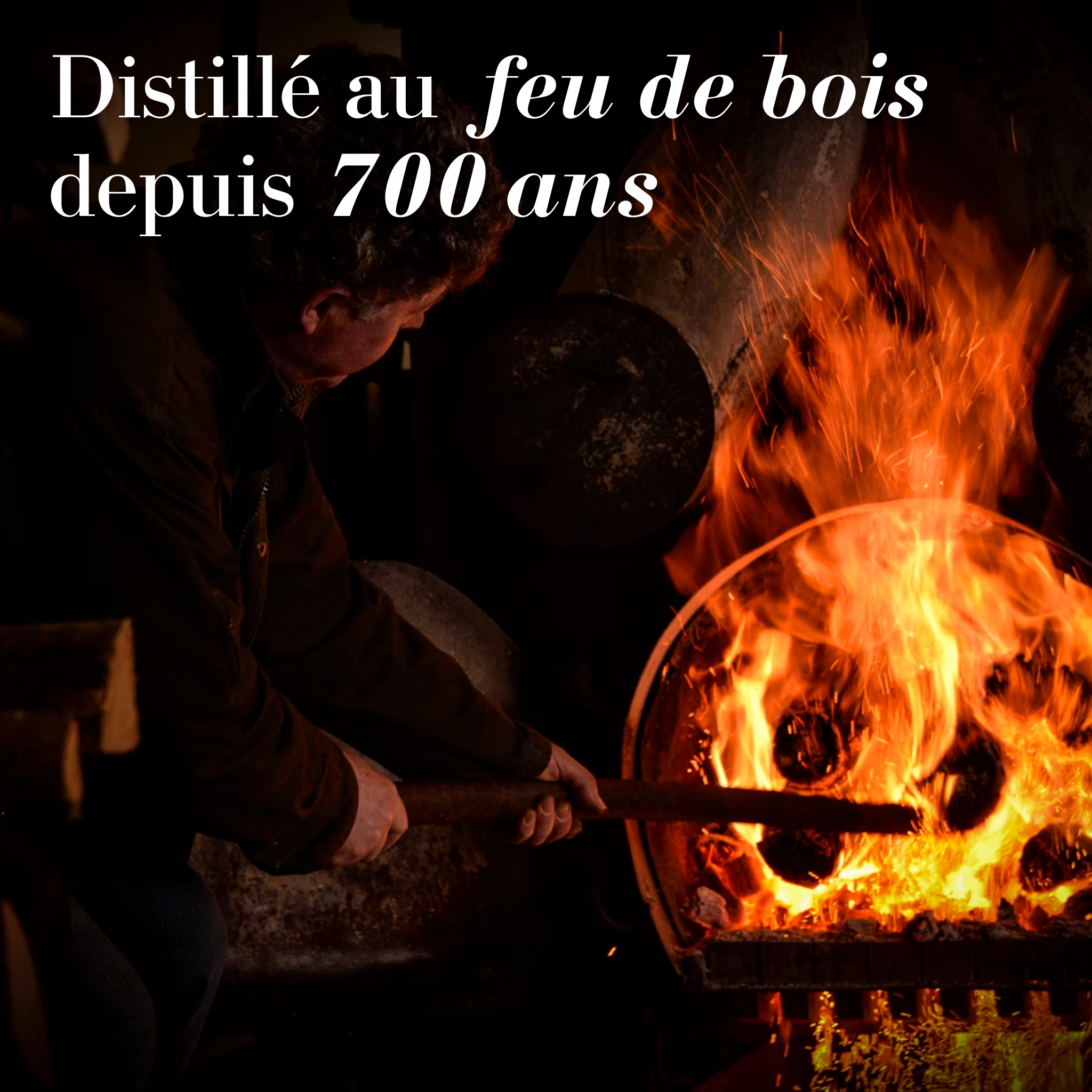 Le Baco - Pièce unique d’exception. 460 flacons pour défendre ce qu’il reste du terroir Armagnac