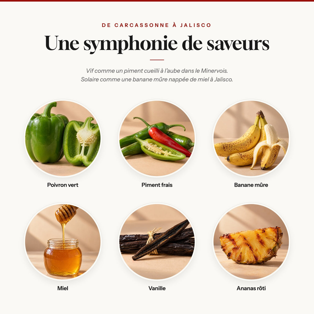 Note de dégustation Adiu Bandido : poivron vert, piment frais, banane mûre, miel, vanille, ananas rôti