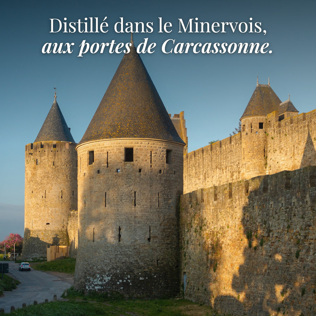 Les remparts de la Cité de Carcassonne : distillé dans le Minervois, aux portes de Carcassonne (photo Lynx1211, CC BY-SA 4.0)