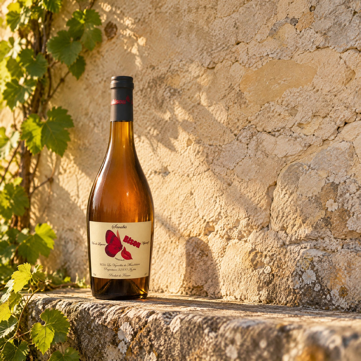 Bouteille de Bisou sur un mur de pierre gascon