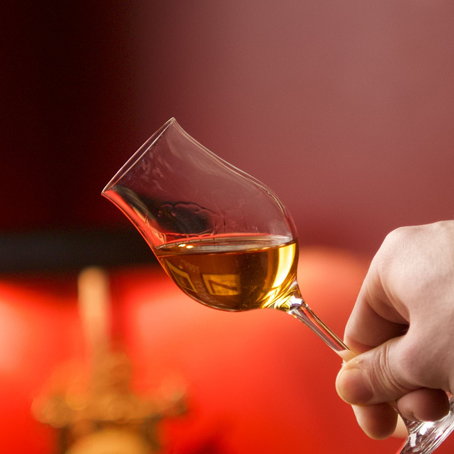 Le Baco - Millésime 2011 - 705 bouteilles