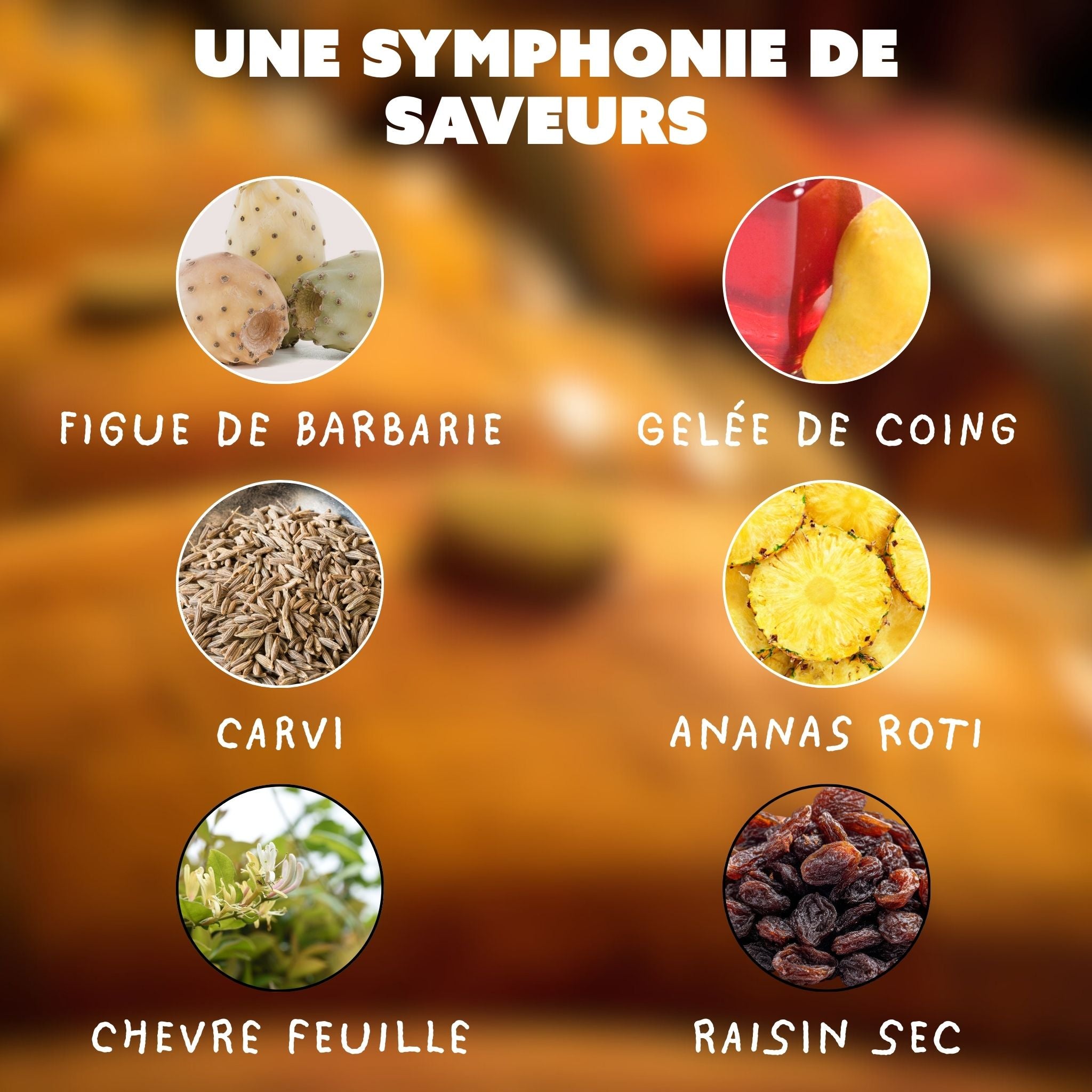 From Future X Famille PASQUET – 100 flacons pour défendre le Cognac