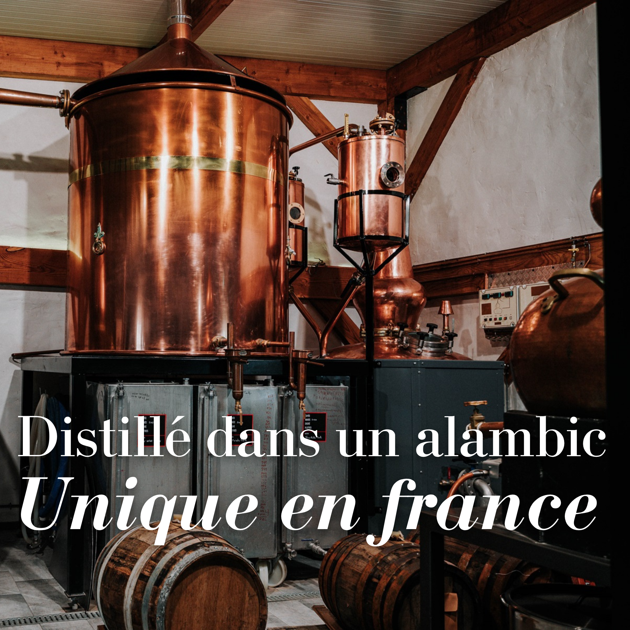 French Dandy X G. Victors (ex fût de bourbon) -  Jamaïcan Style Rum - Edition Limitée (60 flacons)