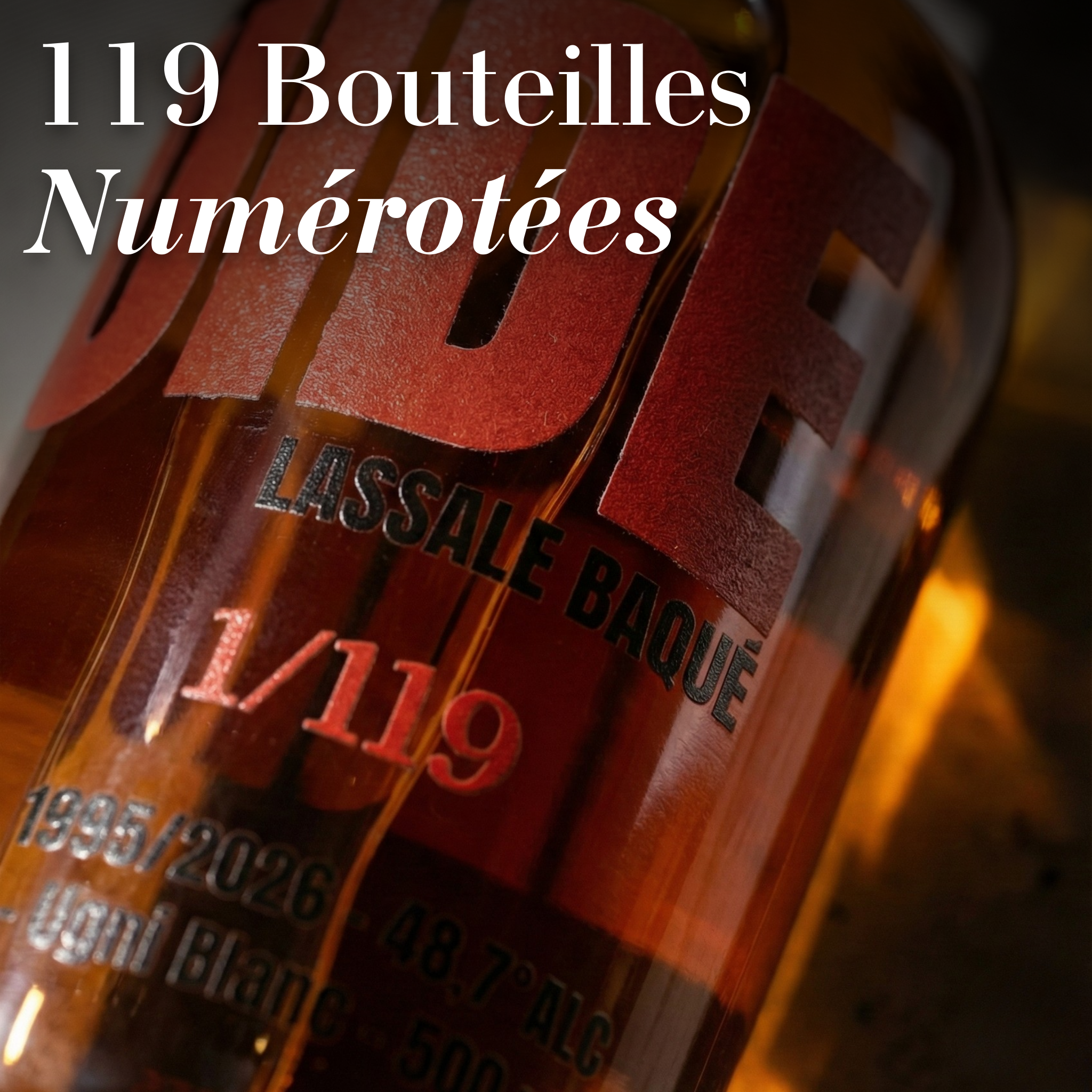 ART LIQUIDE - Millésime 1995 - Édition Limitée: 119 Flacons