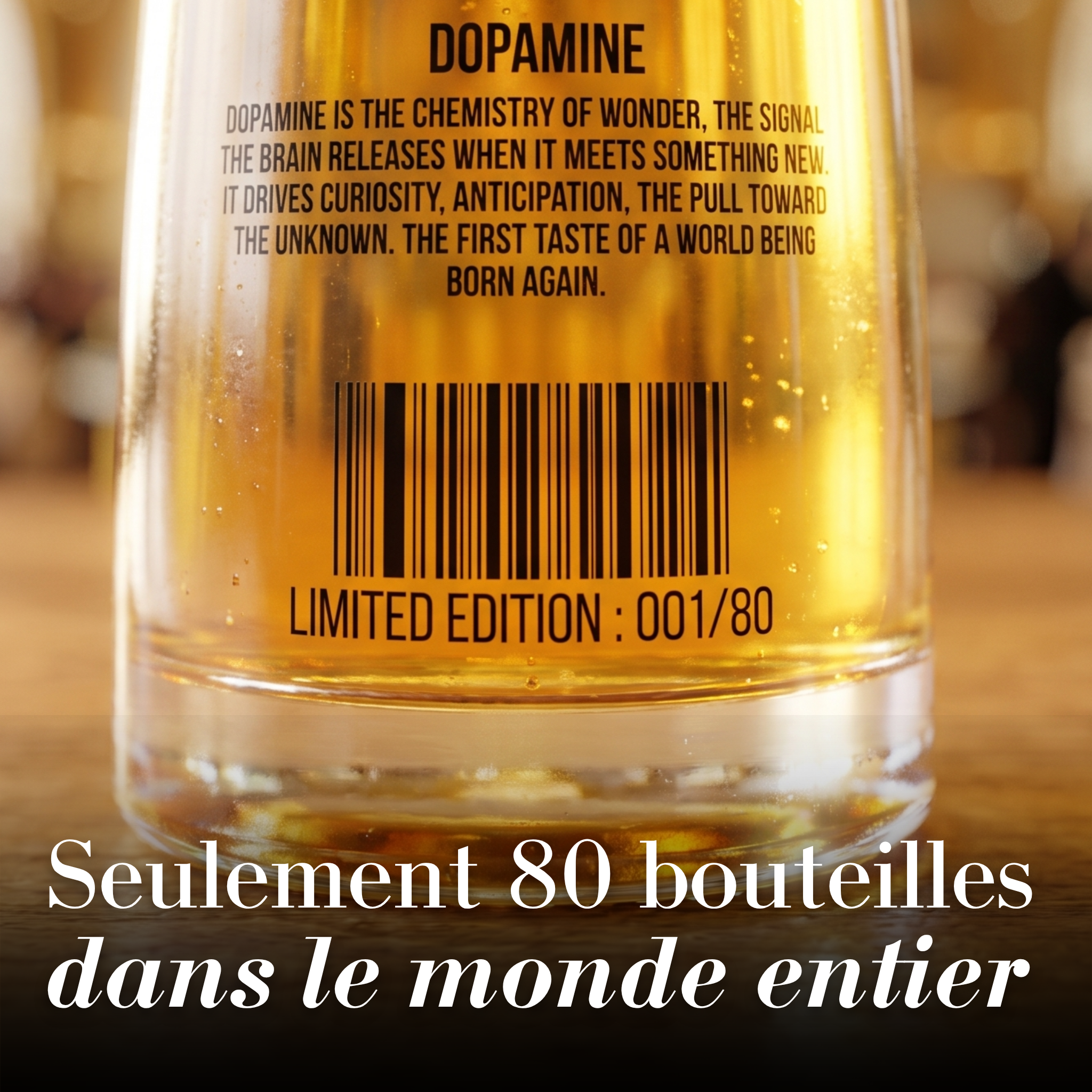 New World X St Martin -  Millésime 2001 - Edition Limitée (80 flacons)