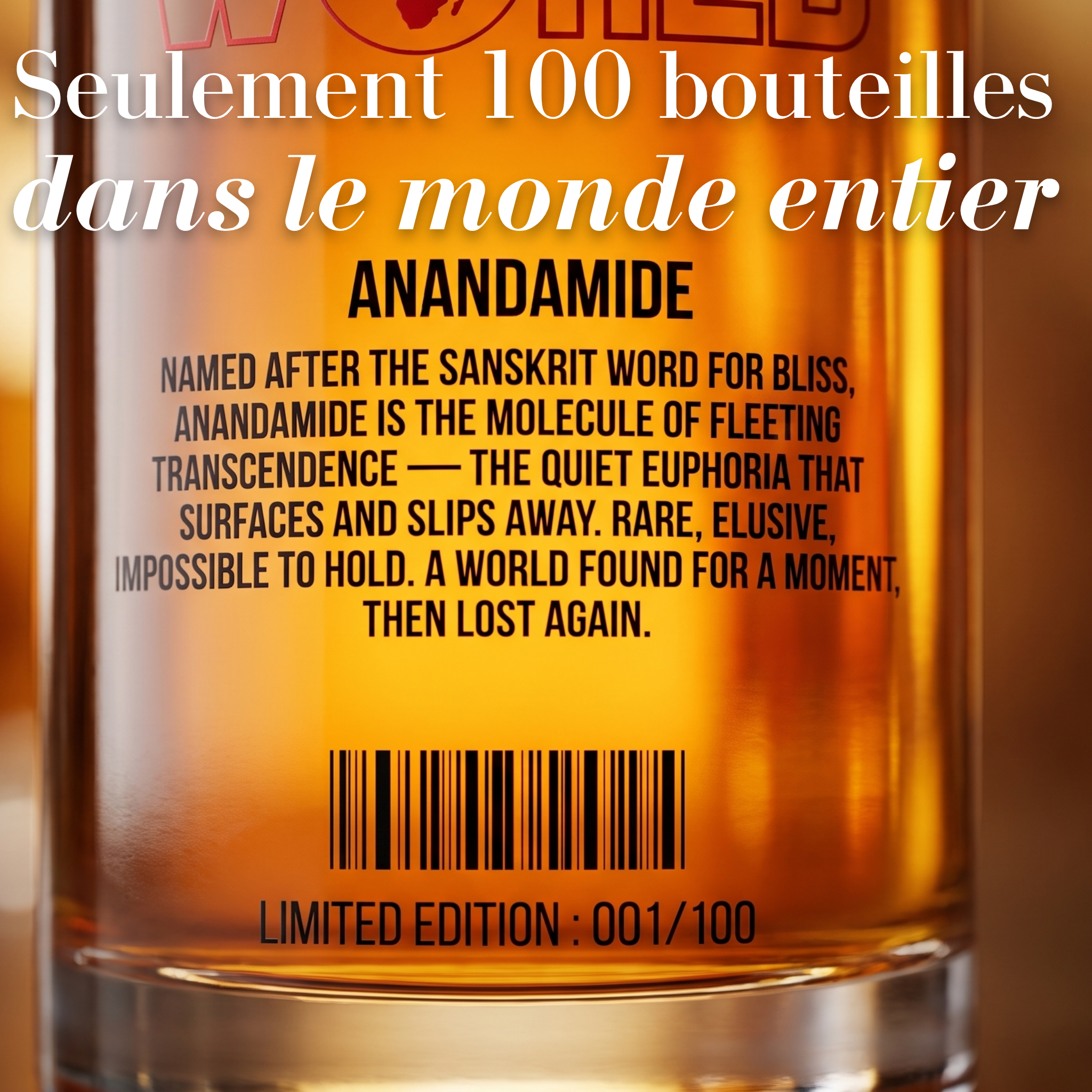 Old World X St Martin -  Millésime 1996 - Edition Limitée (100 flacons)