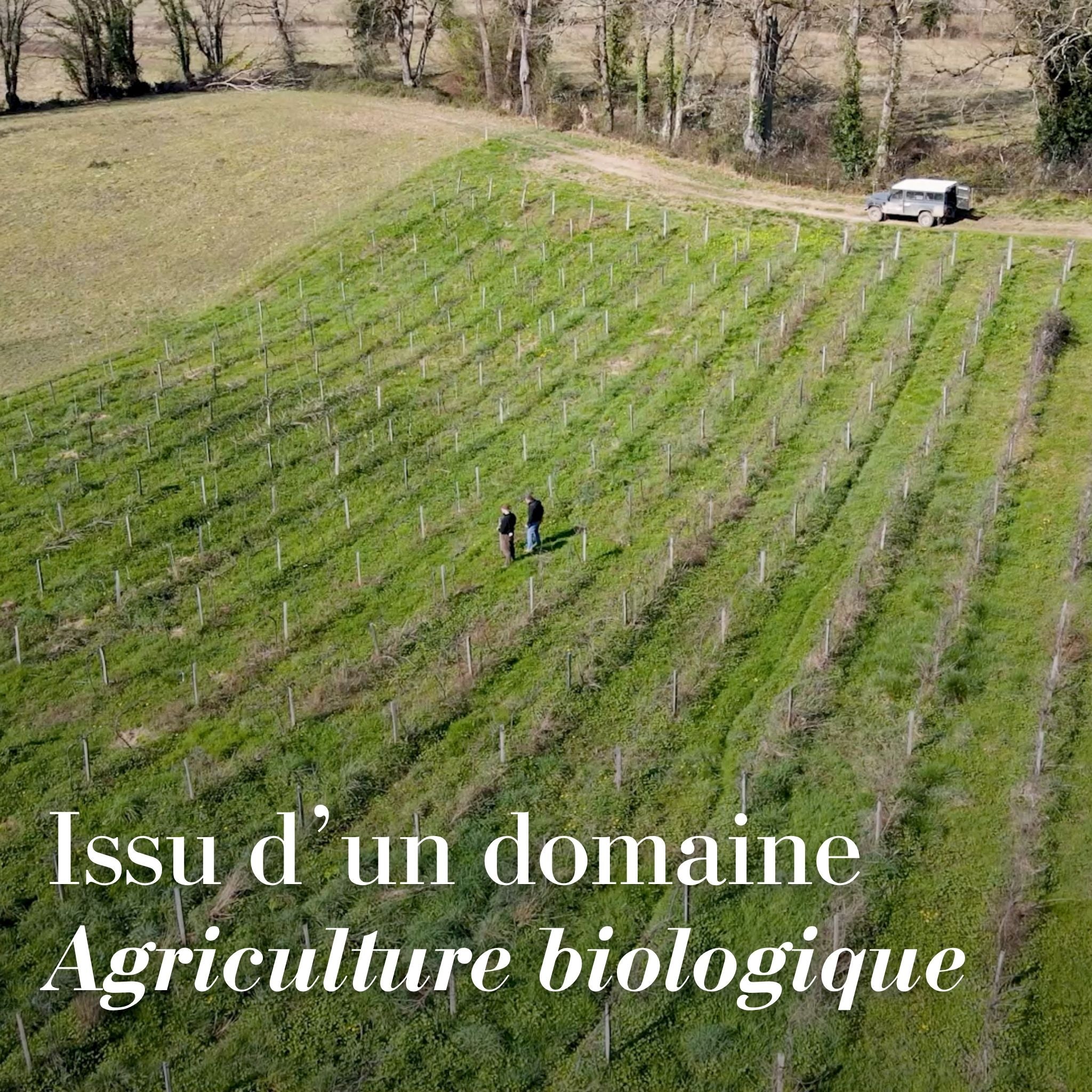 Pièce unique X Fred Blondeau – 160 Flacons D'Un Armagnac Exceptionel.