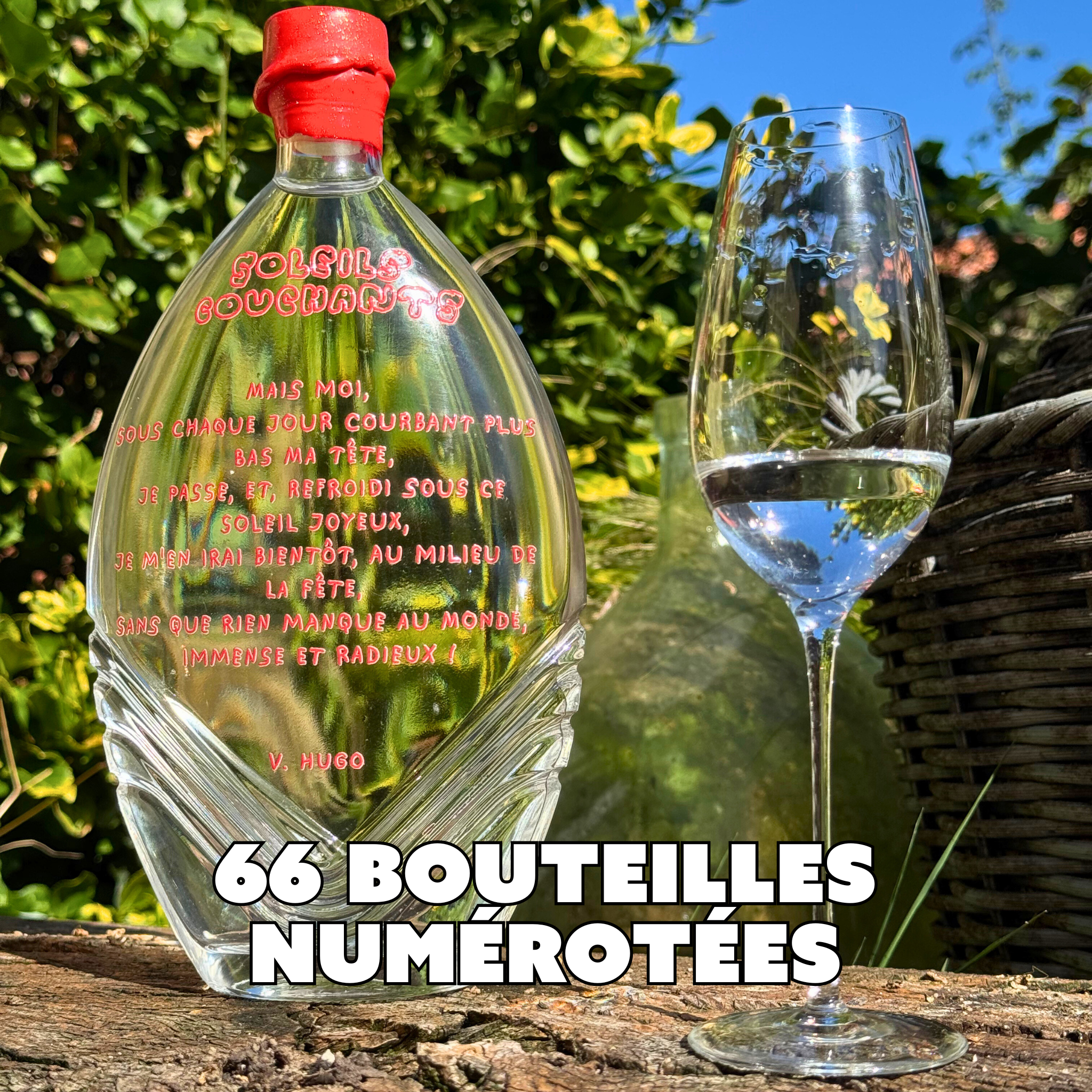 SOLEILS COUCHANTS - Eau-de-vie de Mirabelle (2020) - Damejeanne Unique 66 Bouteilles